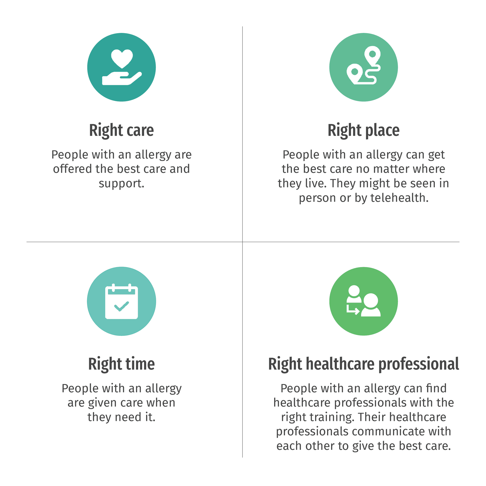 Four icons with text: Right care, Right place, Right time, Right healthcare professional, highlighting allergy care essentials.