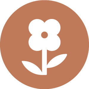 Shared Care for Allergy roadmap