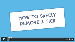 NAS how to safely remove a tick